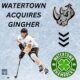 GINGHER OFF TO WATERTOWN