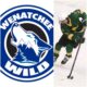 HAWES SET TO START WITH WILD